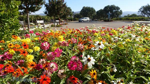 不浪費旅行一分一秒 10個排景點攻略