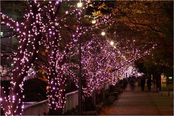 連綿湛藍與粉紅點燈！ 東京兩大必看超浪漫燈飾