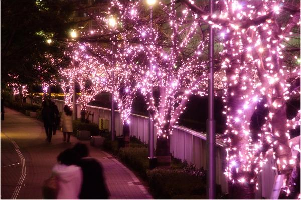 連綿湛藍與粉紅點燈！ 東京兩大必看超浪漫燈飾