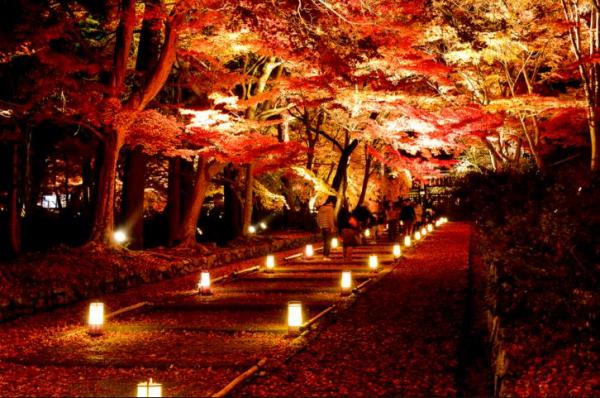 想親眼看到！ 京都如火紅地毯的進階版賞楓名所