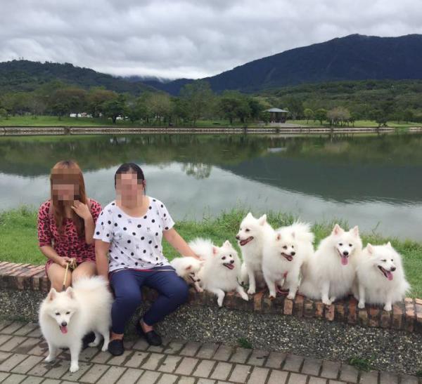 一班毛孩去旅行！ 網友帶收養狗狗遊台灣(附3大帶狗旅遊貼士)