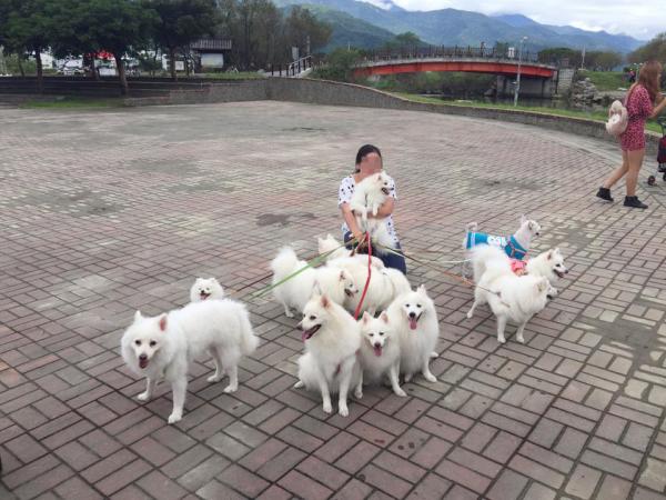 一班毛孩去旅行！ 網友帶收養狗狗遊台灣(附3大帶狗旅遊貼士)