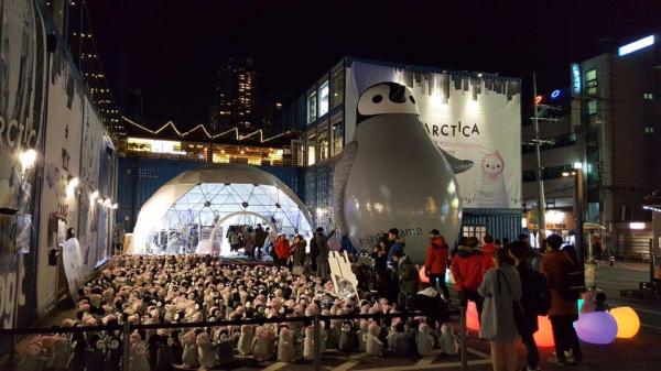 一千隻企鵝突襲韓國！ 再度現身首爾人氣景點