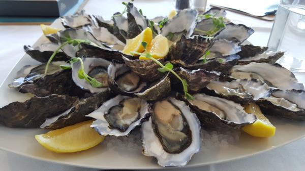 坐露營車潮玩塔斯曼尼亞 你不知道的5件事