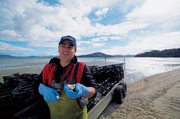 坐露營車潮玩塔斯曼尼亞 你不知道的5件事