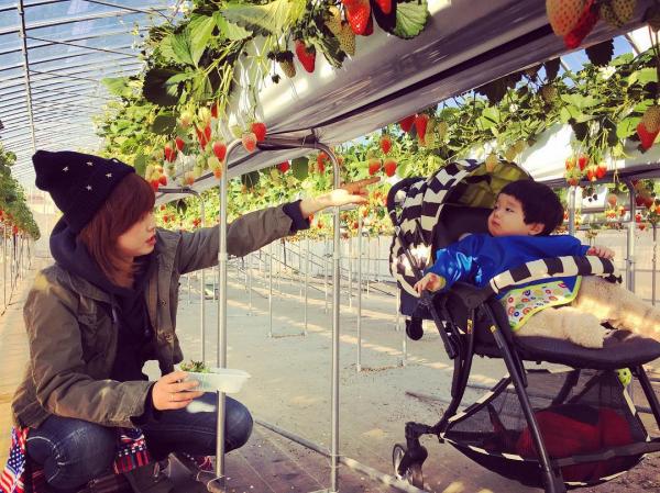 東京任摘任食 士多啤梨好時節