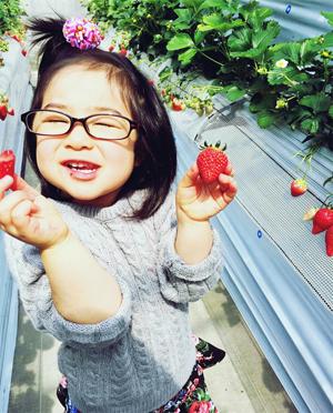 東京任摘任食 士多啤梨好時節