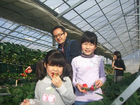 東京任摘任食 士多啤梨好時節