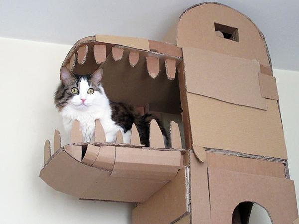 貓奴必睇！DIY 貓の紙箱部屋！ 