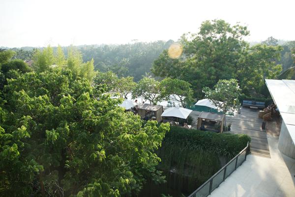 峇里 Resort 森林靚景泳池打卡