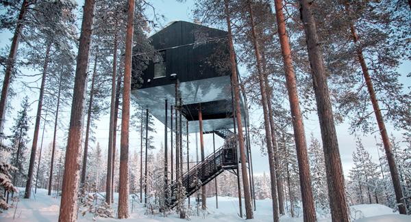 最佳觀「光」點！ 瑞典超豪裝樹屋！ 