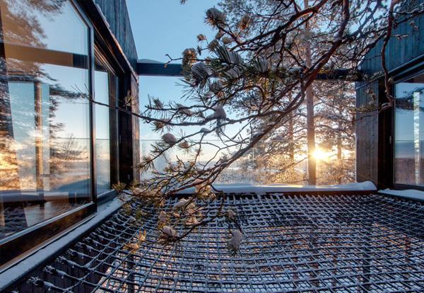 最佳觀「光」點！ 瑞典超豪裝樹屋！ 