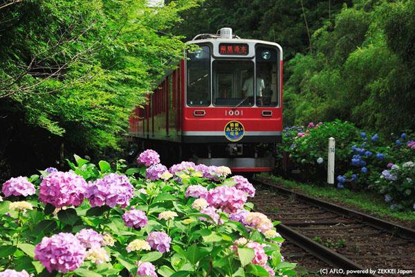 10 個日本必到觀光列車 