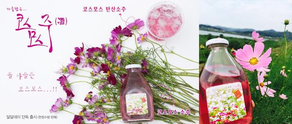 韓國網民熱搜 弘大發現粉花櫻花燒酒