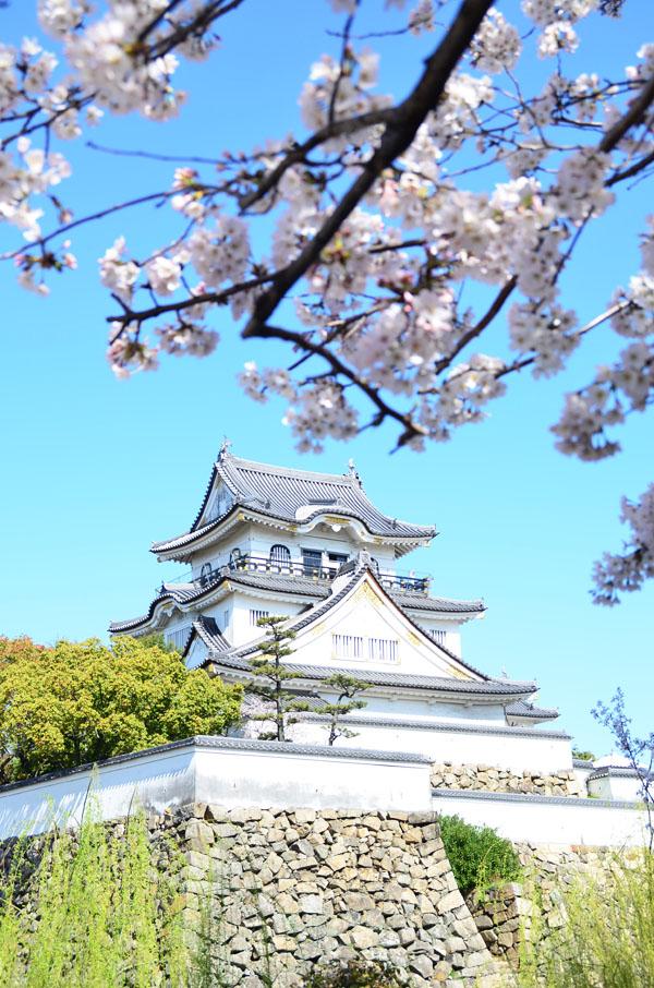 一期一會 大阪 4 大人氣櫻花祭 