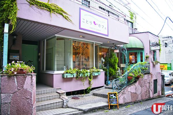 毛鬙鬙 超賣萌！ 東京紅卜卜鸚鵡主題 Café