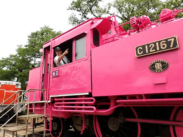 期間限定！ 鳥取超浪漫粉紅火車