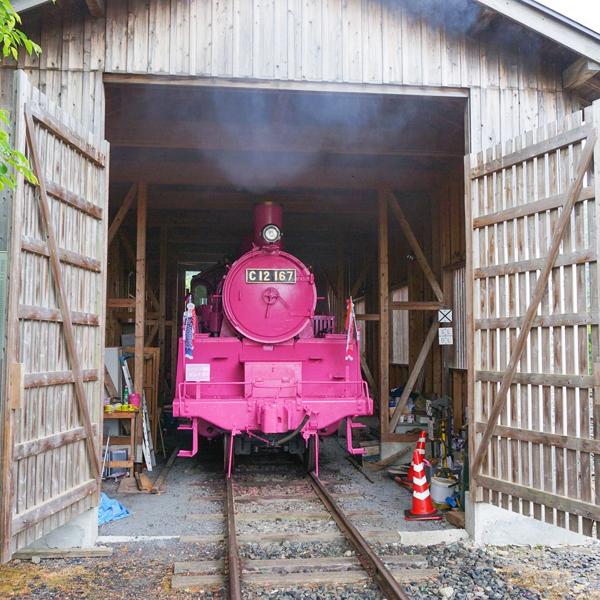 期間限定！ 鳥取超浪漫粉紅火車