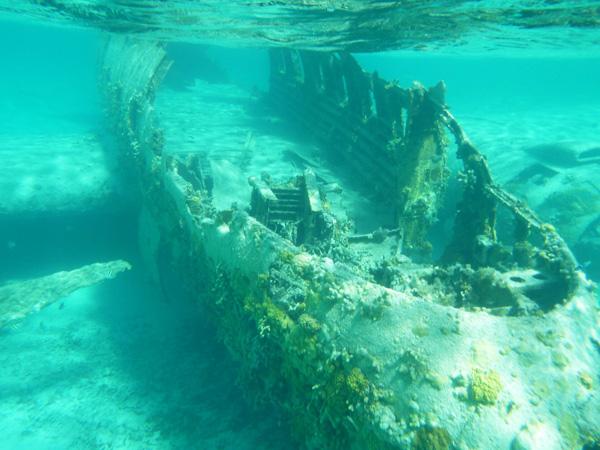 巴哈馬小島另類景點　軍事機殘骸影餐飽　 