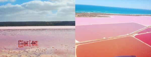 去梯田粉紅湖 畀迷人 Pink 包圍 