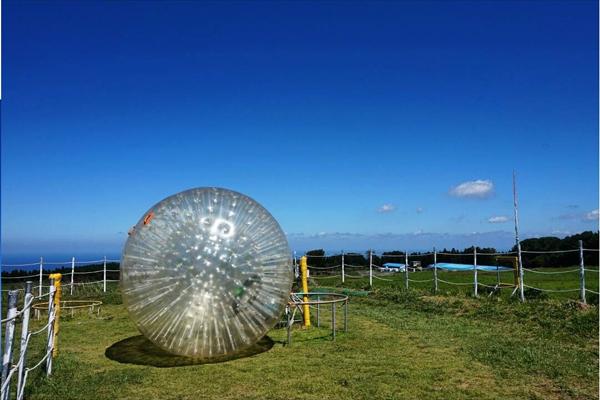 世界最長！ 韓國濟州人體草地滾球