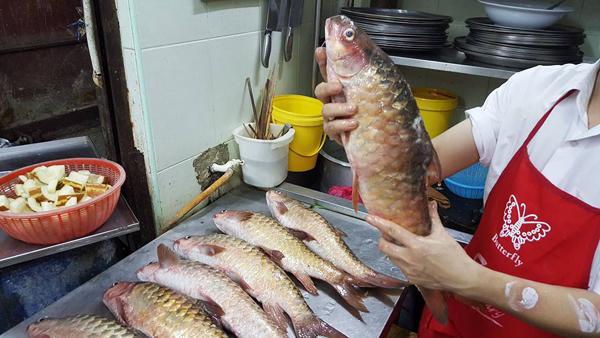 一嘗馬來西亞最貴河魚皇 ,000 一公斤