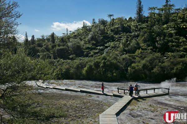 新西蘭北島 地熱公園走過烽火大地