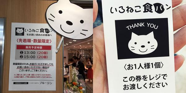 大阪限定超可愛貓咪面形麵包 一日只有 40 位買到！