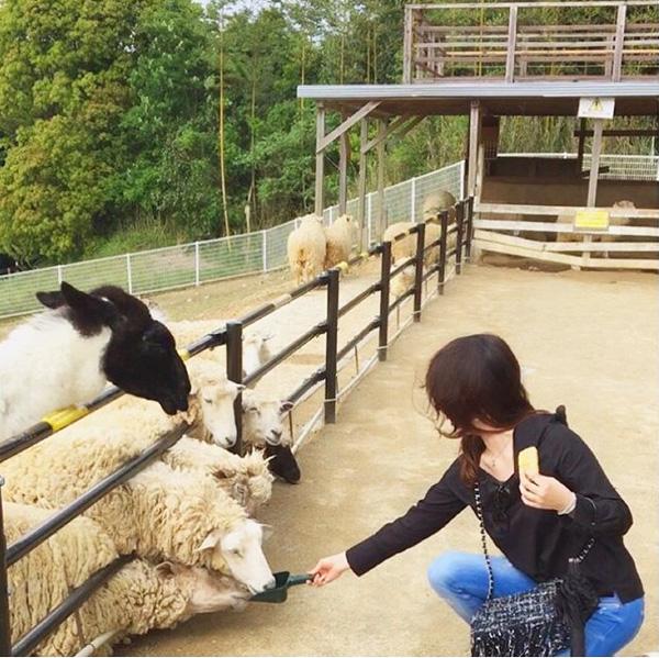 其實這裏是農業公園，故遊客可以餵羊仔、騎馬仔或者一試榨牛奶體驗。（圖：mahohhh@IG）