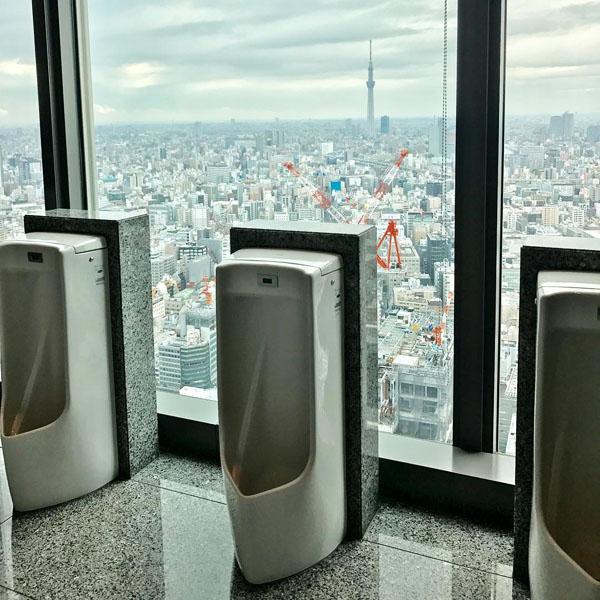 由有魚睇到有 靚景 睇 全 日本 10 大奇趣 廁所