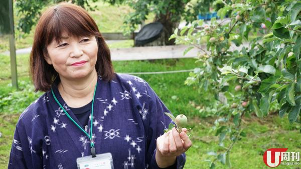 要揀靚蘋果，りんご公園代表朝田里美指最緊要看蘋果底部的顏色，若底部是黃色或橙色一定較好吃，愈青色的就差少少。要數弘前最正的蘋果，她認為屬岩木山山腳一帶的出品，皆因吸收充足的陽光。