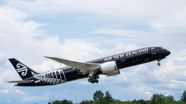 新西蘭航空亦曾為紀念國家欖球隊而推出全黑的客機。