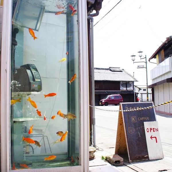金魚無處不在 奈良有條金魚街
