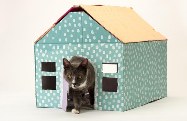 貓大宅用紙箱循環再造而成，美感、實用程度都係其次，重點其實係籌款，幫助有需要的動物。