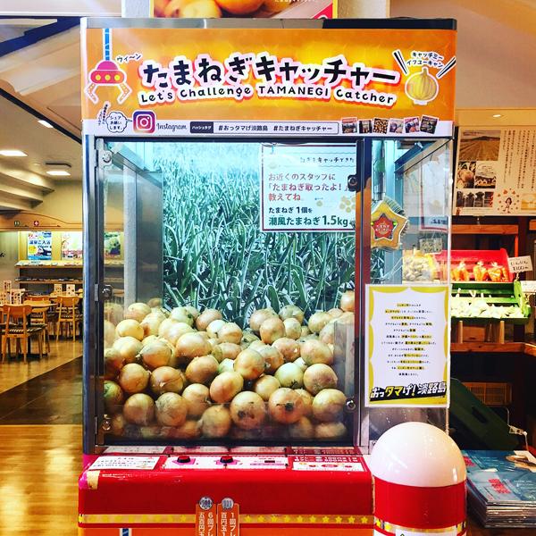 超好玩！ 日本夾洋蔥機 夾到送一袋潮風洋蔥