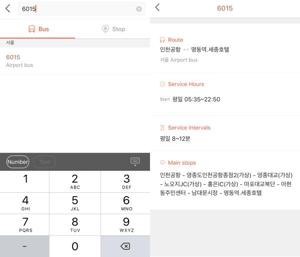 在 KakaoBus，可以按巴士站或巴士號碼搜尋，但巴士站也只可以用韓文搜尋，所以唔識韓文的話，就要先在網上搵到巴士號碼，或巴士站號碼（每個巴士站有各自的編號）。巴士的詳細資料包括運行時間、班次間距、
