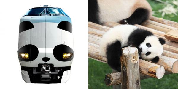 和歌山 萌爆 熊貓 火車 8 月有得坐！