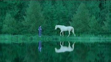 後來國民級演員吉永小百合於 2006 年又替 AQUOS 拍電視廣告，把畫家幻想的畫面拍成影像，令更多人留意到這個幻想般的池塘。