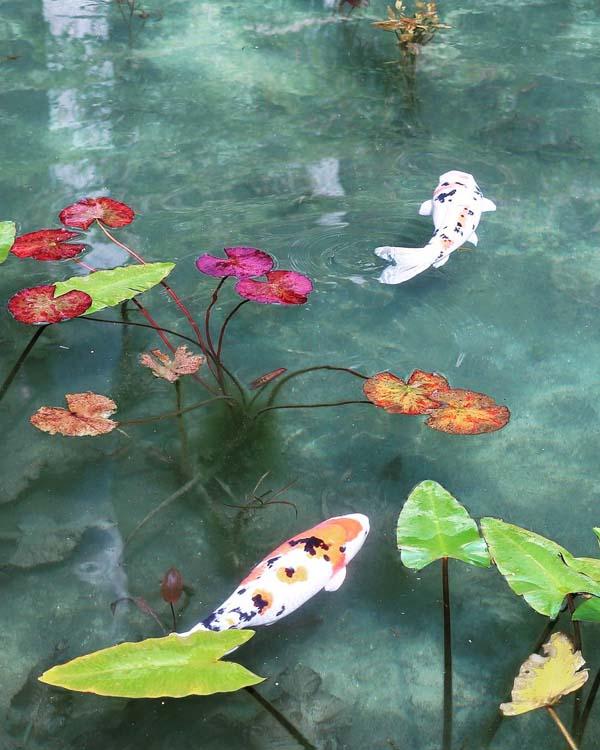 日版「莫內睡蓮池」不在法國吉維尼（Giverny），而是藏於岐阜縣根道神社內。水池本名是沒有名字的水池（名もなき池），因水面浮着一朵朵蓮花，環境與莫內名畫《睡蓮》相似而得名，每年的 1、2 月水質最