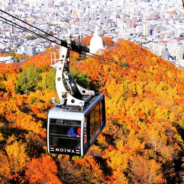 札幌賞紅葉，還可以乘纜車上藻岩山。（hokkaidotabi@IG）