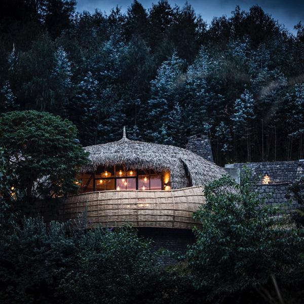 Bisate Lodge 是一間位於盧旺達的別墅，今年 6 月下旬才開幕。除了毗鄰附近的 Volcanoes National Park 外，亦有機會能親親生活在該地的山地大猩猩。（圖：wearewi