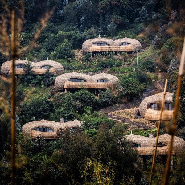 Bisate Lodge 由 6 座別墅組成，共佔地 42 公頃，它靠近基加利（盧旺達的首都），由別墅到公園只要約 20 分鐘的車程。（圖：wearewilderness @IG）