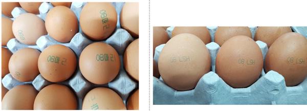 香港食品安全部表示由 8 月 15 日起，韓國雞蛋進口本港時均須扣檢。如果想自行確認購買雞蛋是否來自有問題農場，可以檢查雞蛋上有否印上以下的編碼。（圖：naver news）