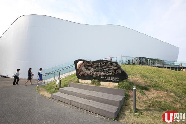 日本 世界級水母魚缸 