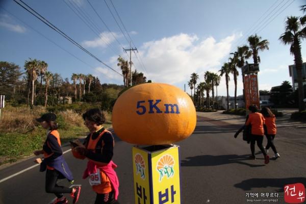 為咗符合主題，沿途都有柑橘做裝飾，參加者完成賽事後可以拍照留念。
