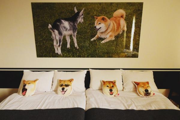 位於東京根津的 Hotel Graphy 推出 Maru 主題套房，牆壁貼滿牠的大照片、床上放幾個柴犬 cushion、電視還會播放牠的影片，一起身就睇到佢個萌樣，心情都特別靚。