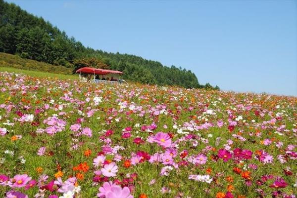 北海道最壯觀絕景 7 選 9 月出遊絕不能錯過