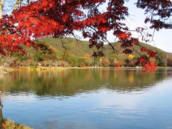 大覺寺內湖景及紅葉景優美。（相：パブー）