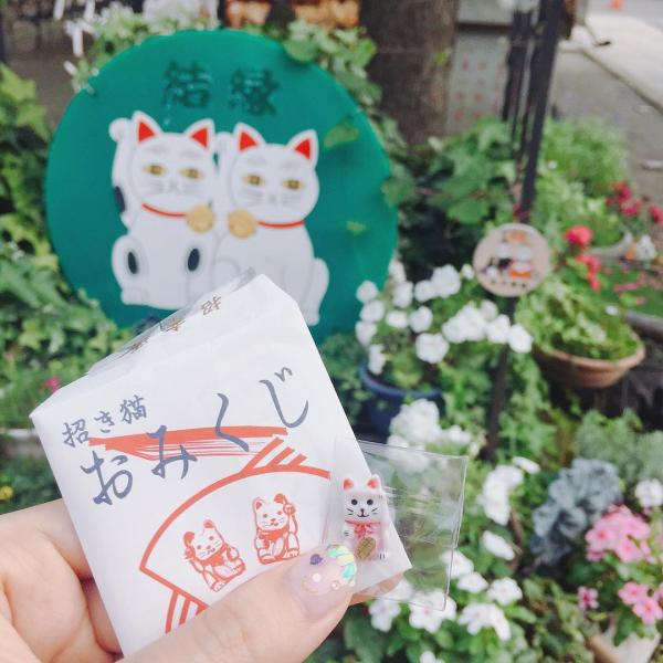 日本  6 大最萌貓神社 東京 兩間貓奴去過未？