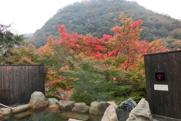 既然有名叫紅葉館，露天風呂當然有紅葉景。（相：Rakuten Travel 網頁）